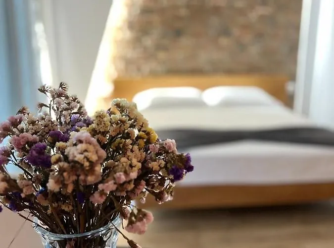 Koni's Appartamento *